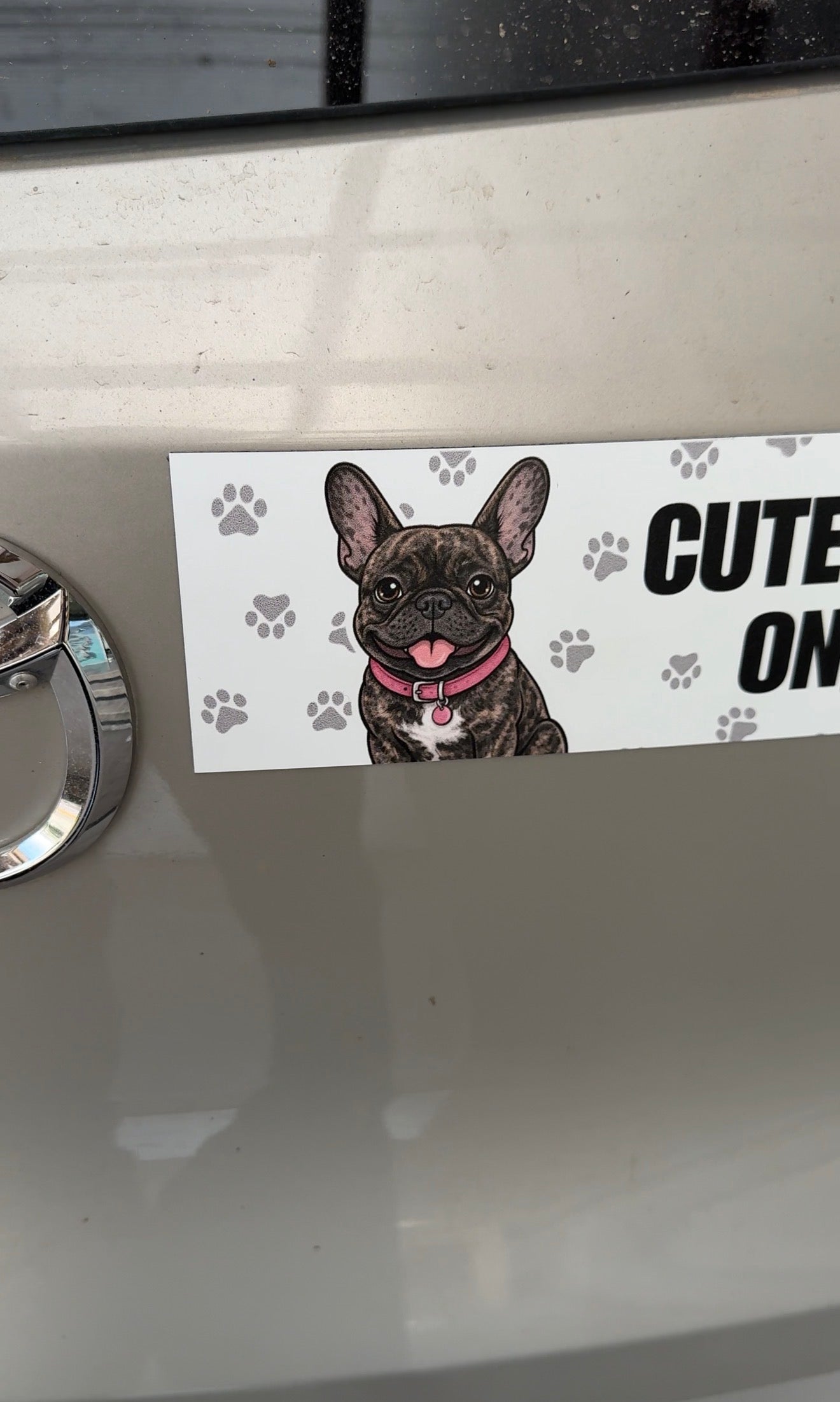 Personalized Pet Car Magnet  (10" x 3" Rectangle)
