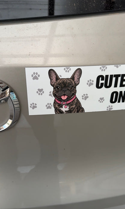 Personalized Pet Car Magnet  (10" x 3" Rectangle)