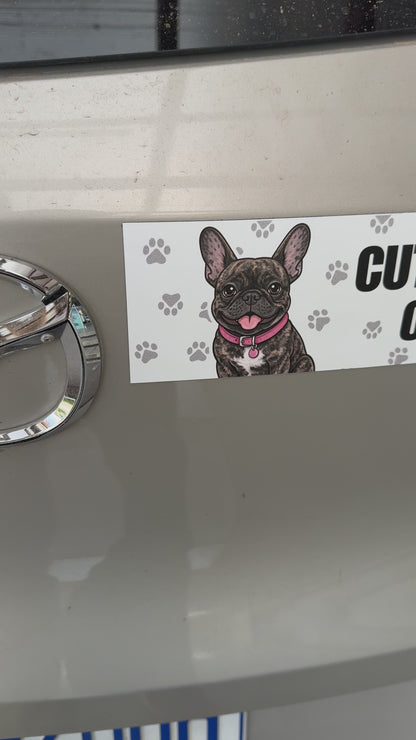 Personalized Pet Car Magnet  (10" x 3" Rectangle)